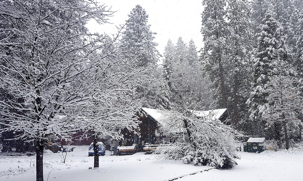 Tue. 9:05 a.m.: Foot of snow blankets parts of Midwest, disrupts travel | News, Sports, Jobs - Vimarsana News